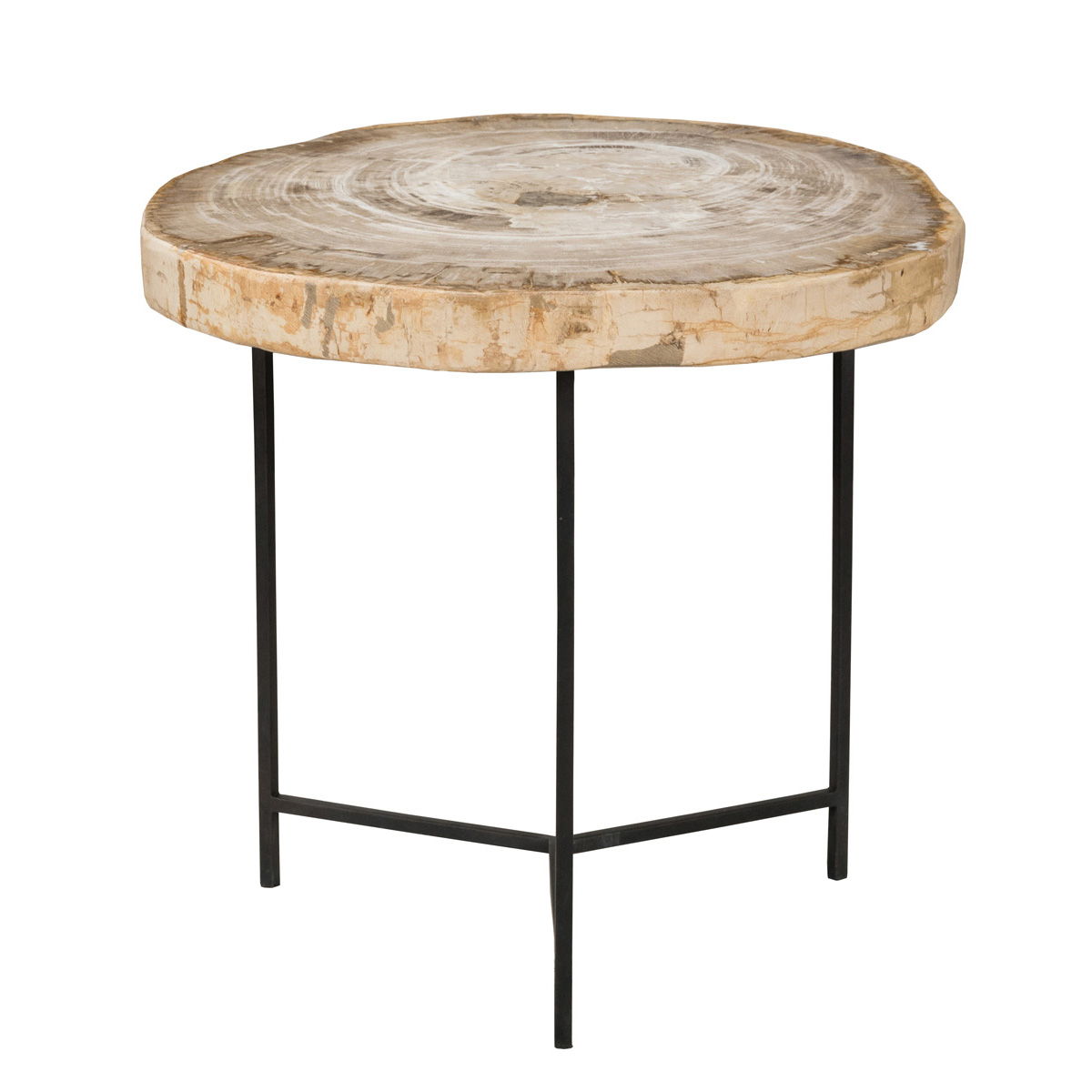 Riley - Petrified Wood Accent Table