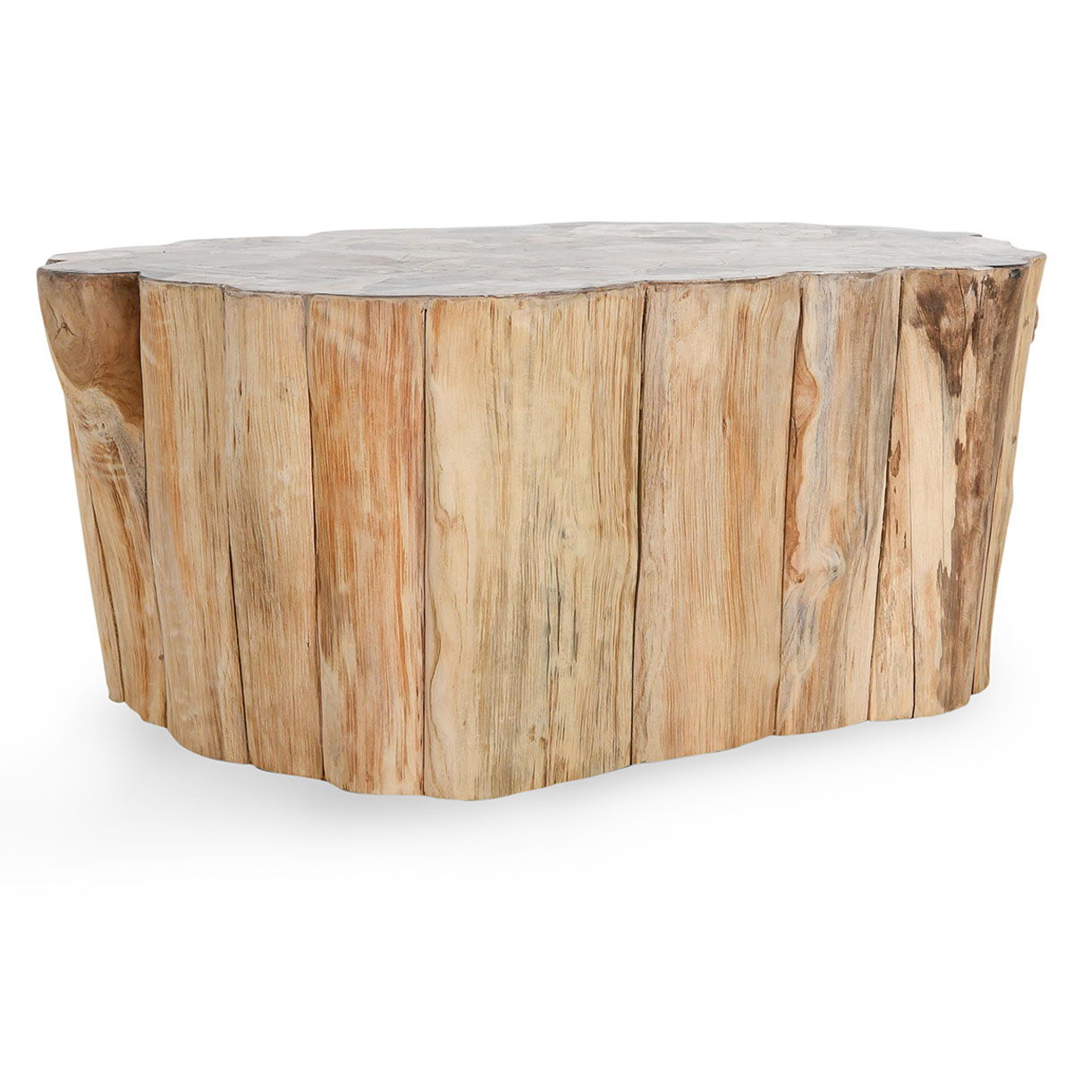 Norwest - Petrified Wood Coffee Table - Natural