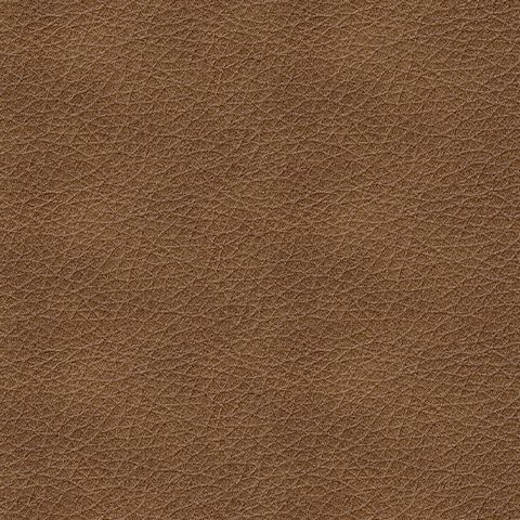 Bolsena - Caramel - Loveseat - Leather Match