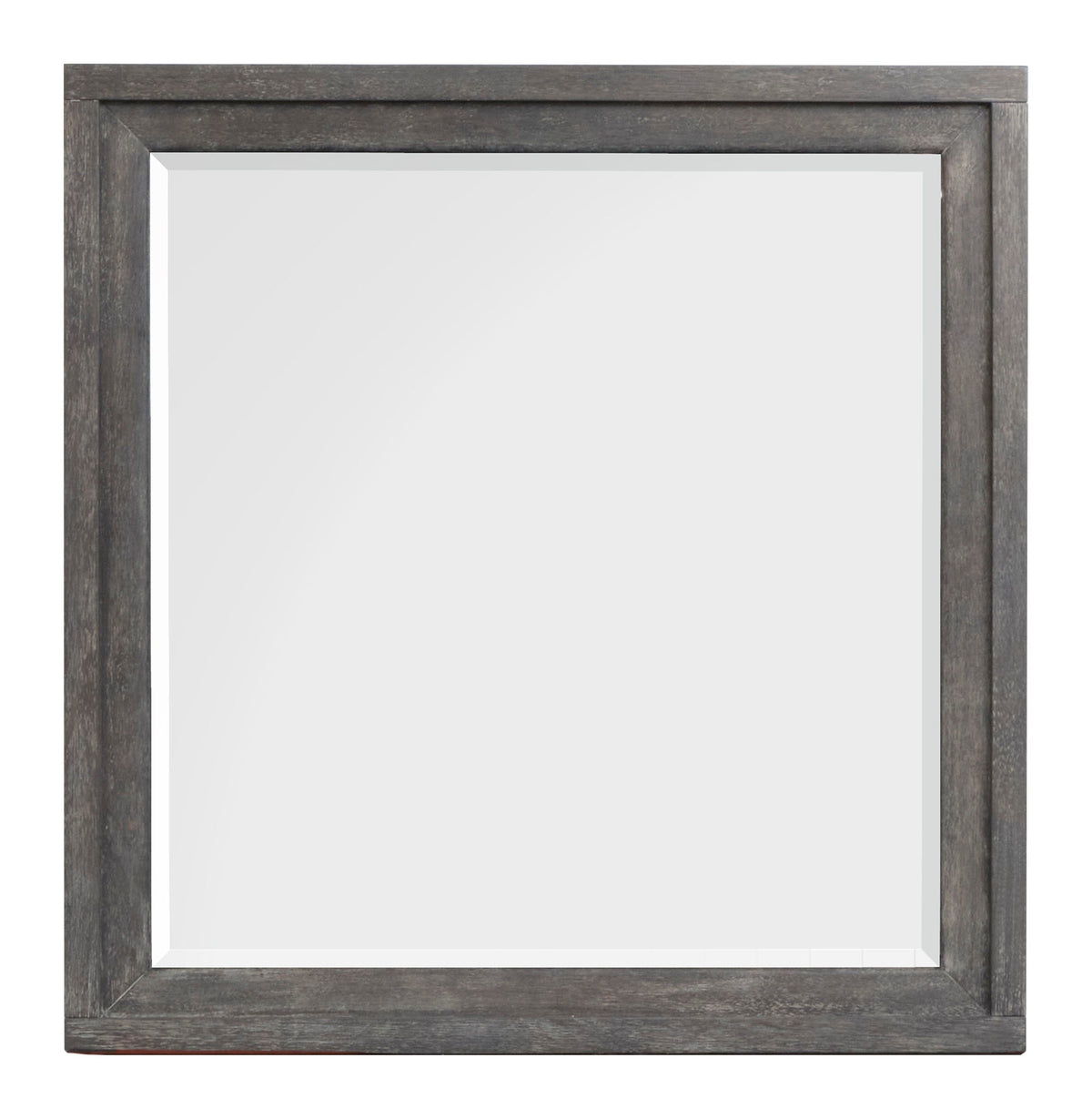 Kinsley - Portrait Mirror - Black Heron