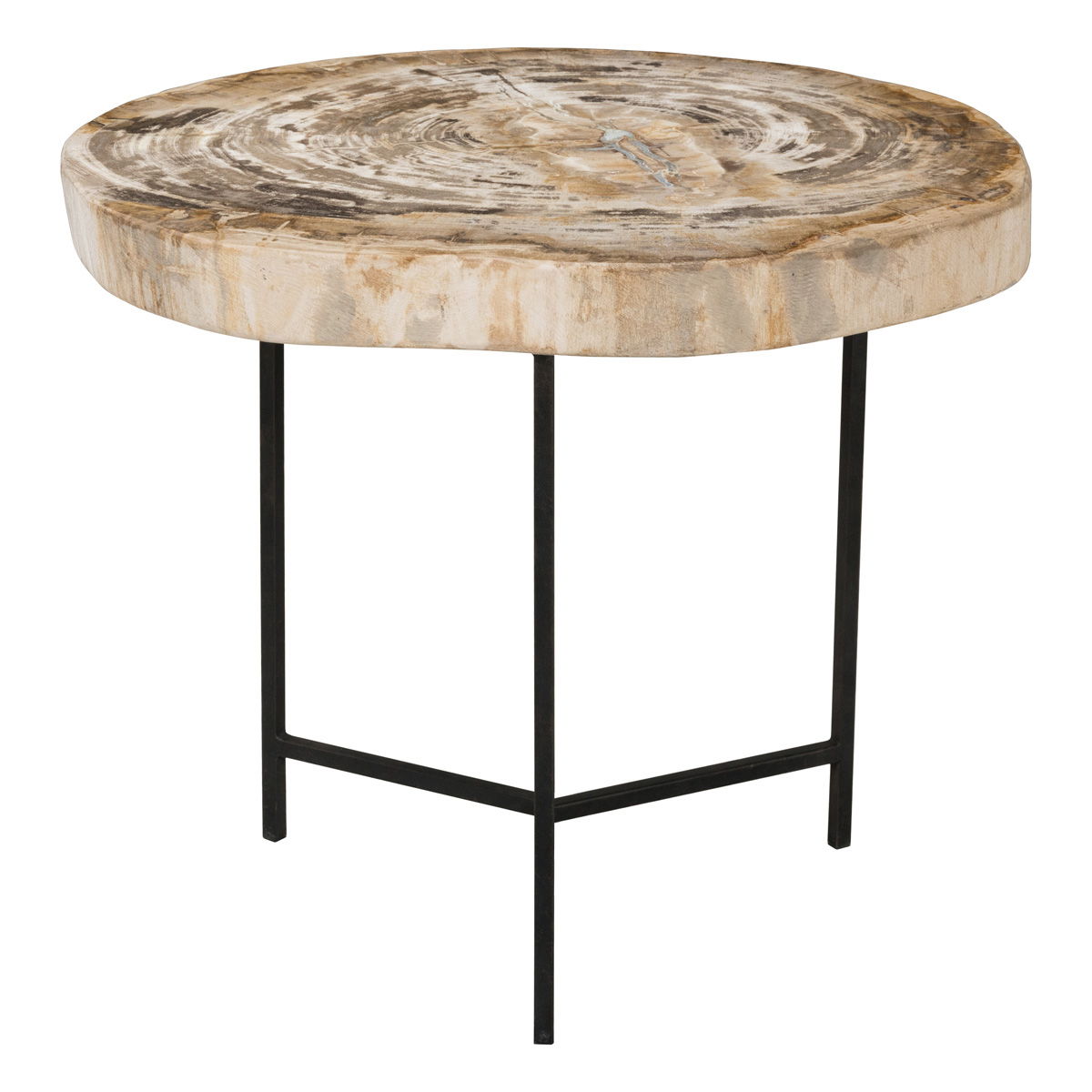 Riley - Petrified Wood Accent Table