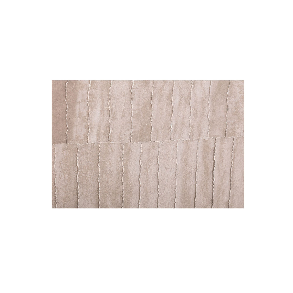 Willet - Canvas Art - Gray