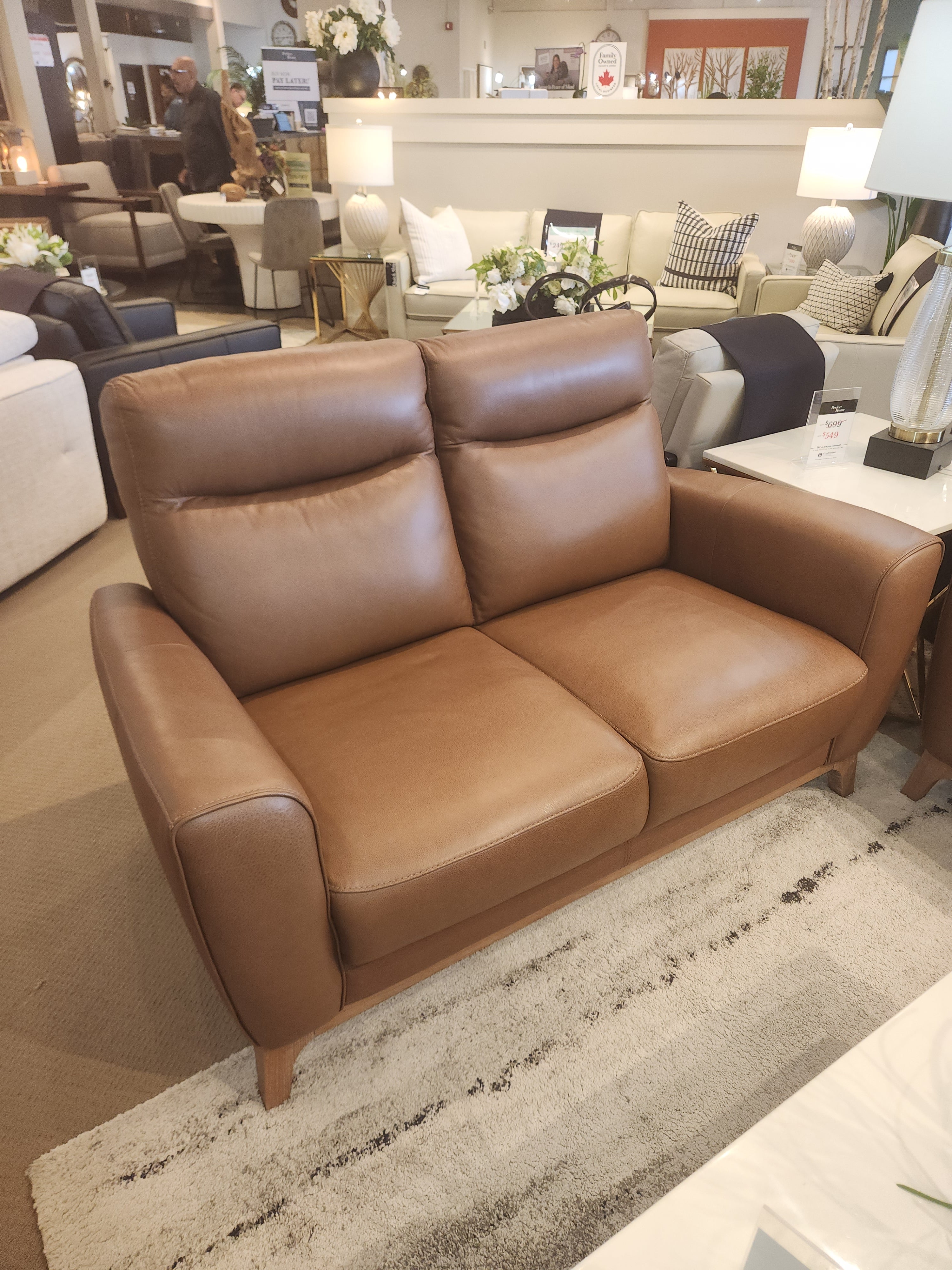 Vesta Leather Loveseat