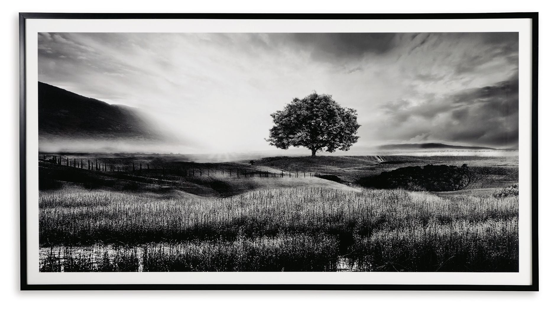 Deborland - Wall Art - Black / White