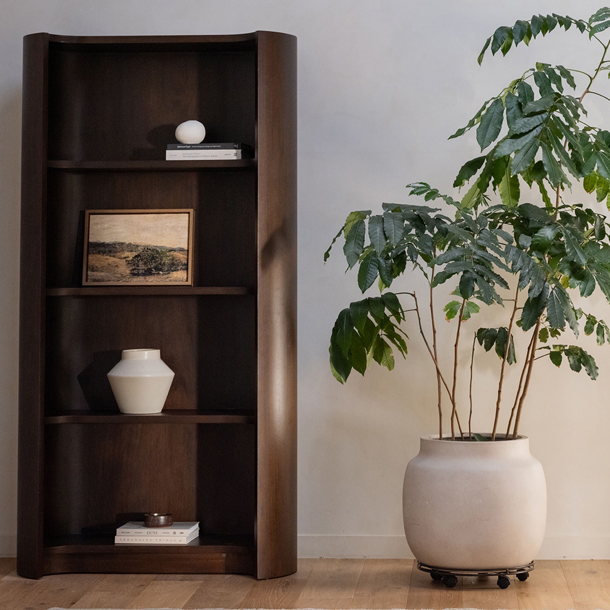 Nera - Bookcase - Brown