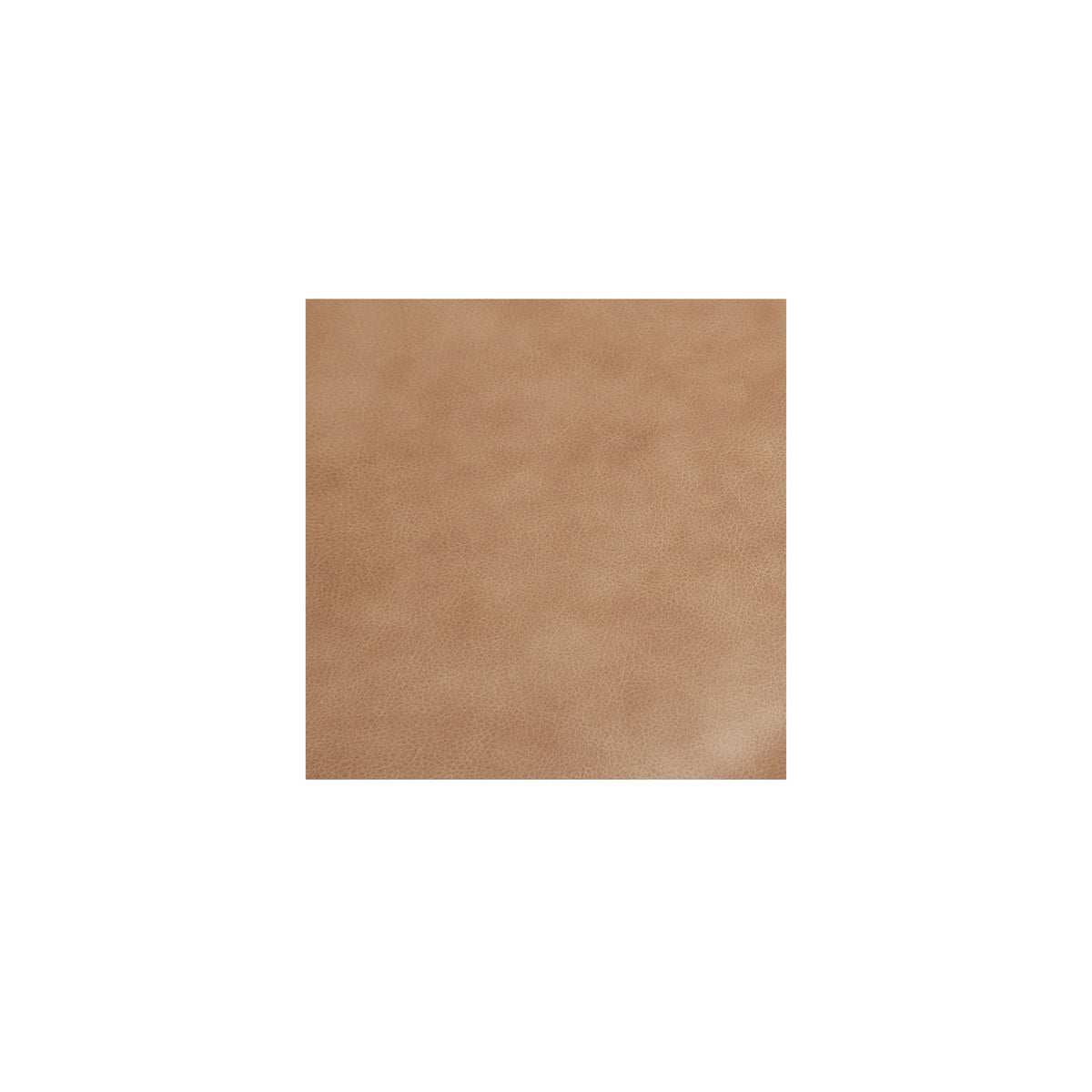 Early - Dining Chair Leather (Set of 2) - Tan
