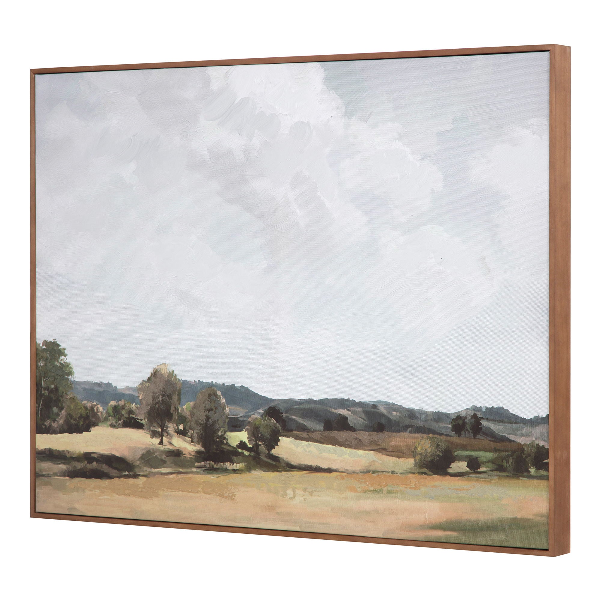 Vast Country - Framed Painting - White