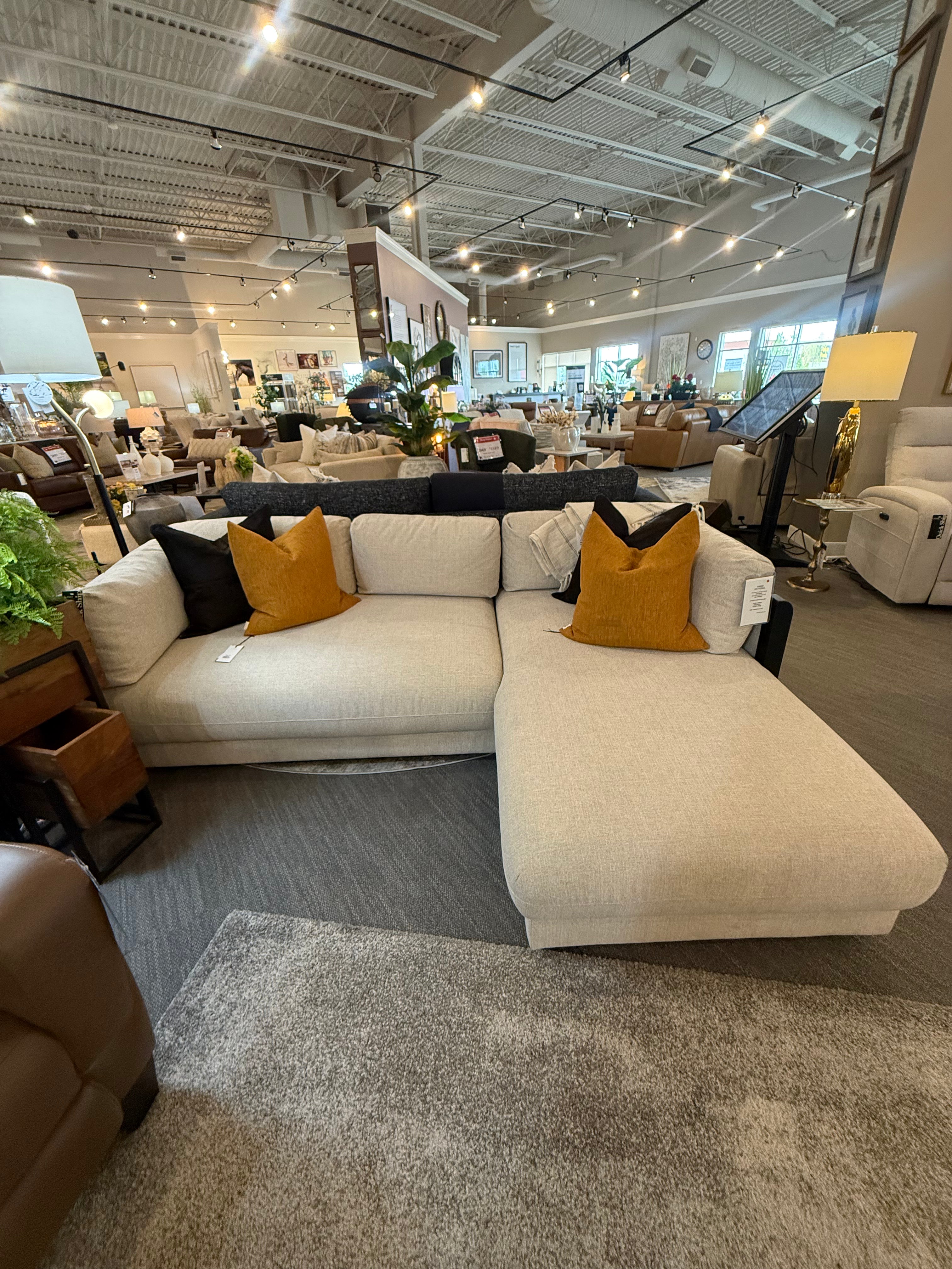 Modern Sectional
