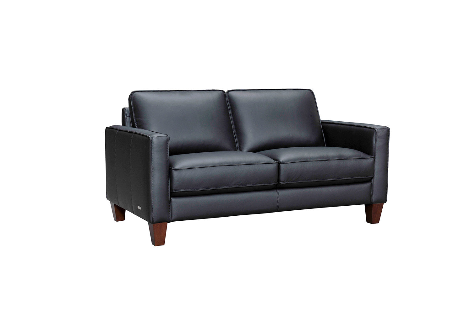 Modern Leather Loveseat