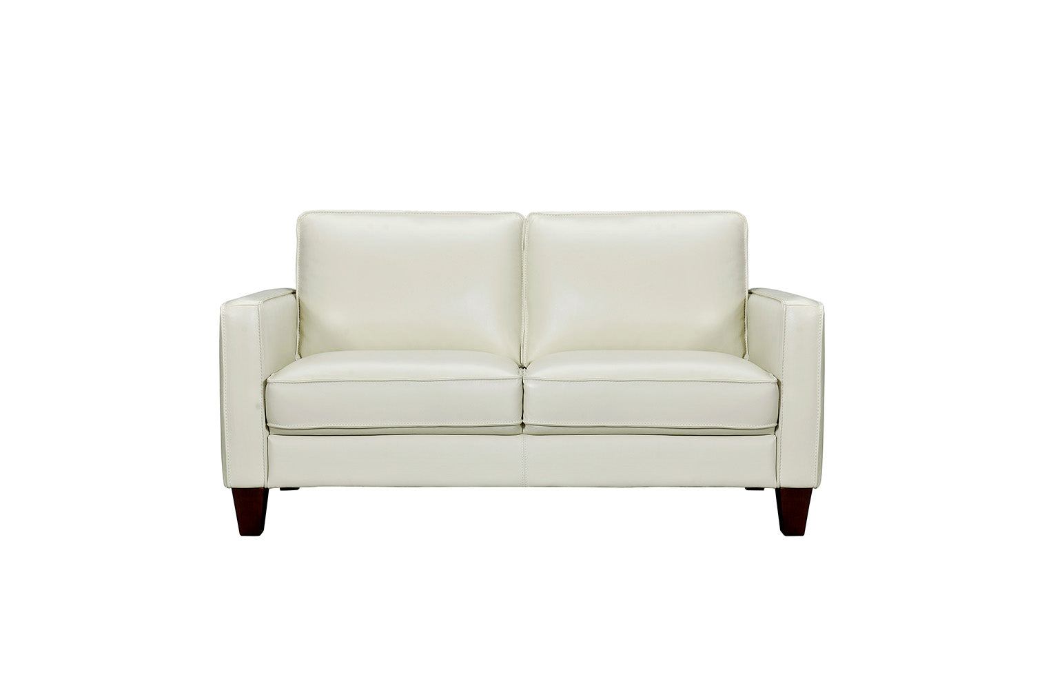 Modern Leather Loveseat