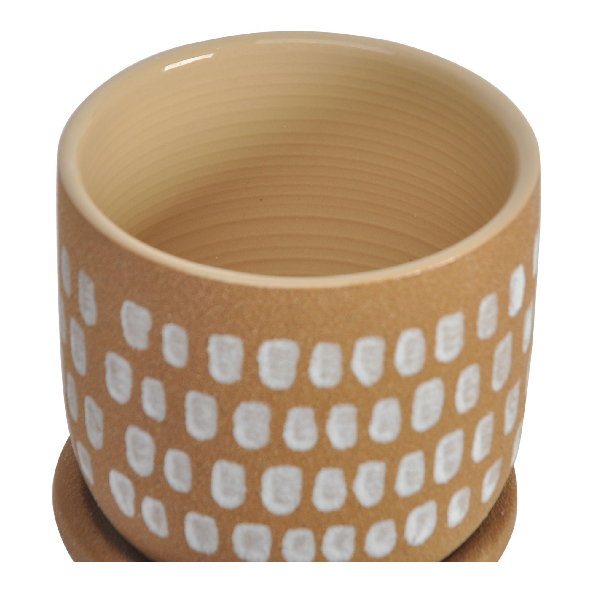 Botanical - 4.5" Planter - Natural