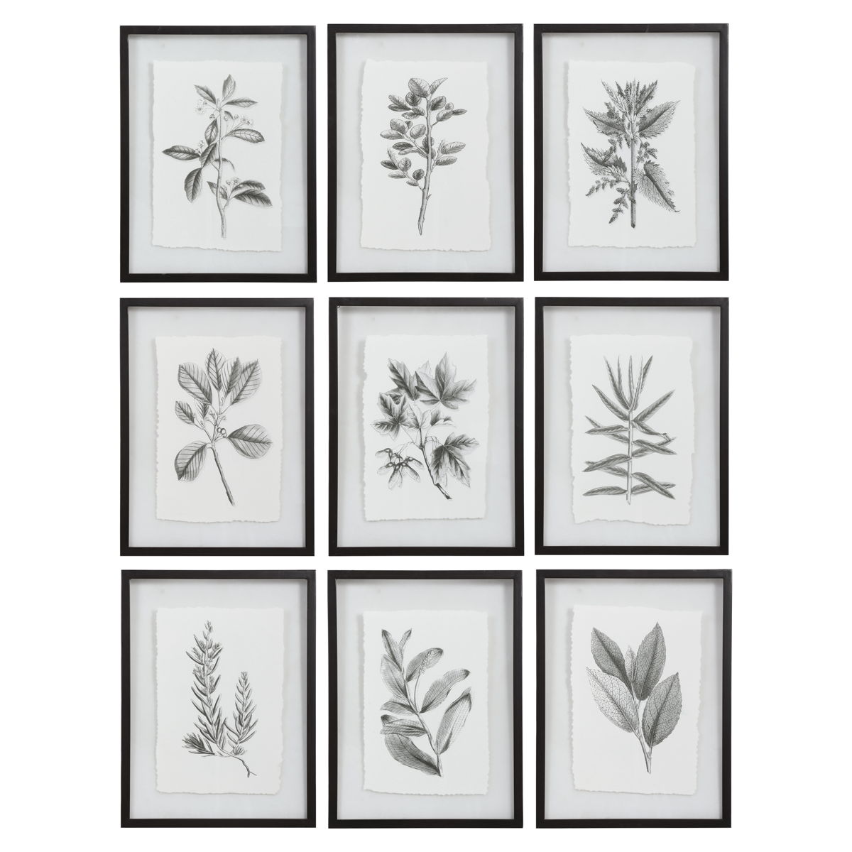 Farmhouse Florals - Framed Prints (Set of 9) - Black