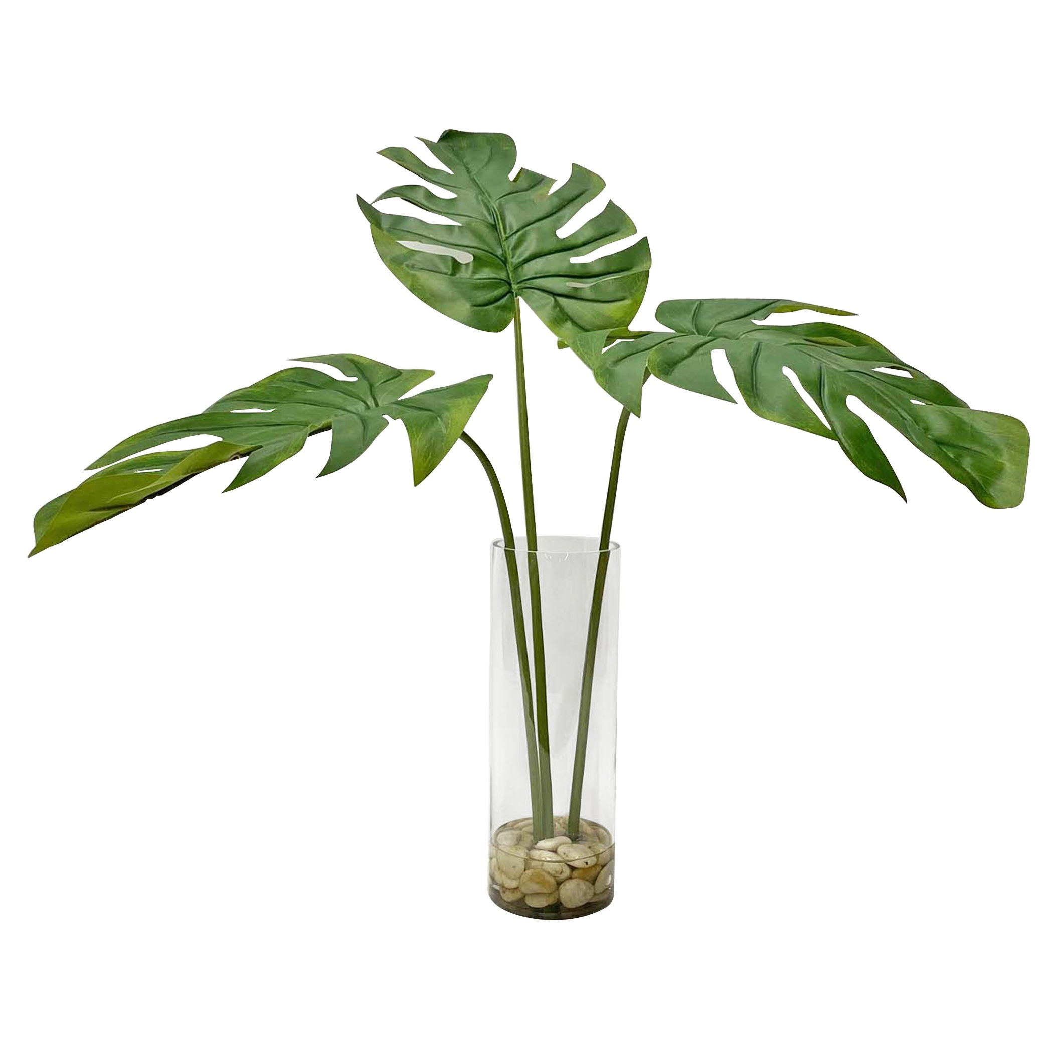 Ibero - Split Leaf Palm - Green
