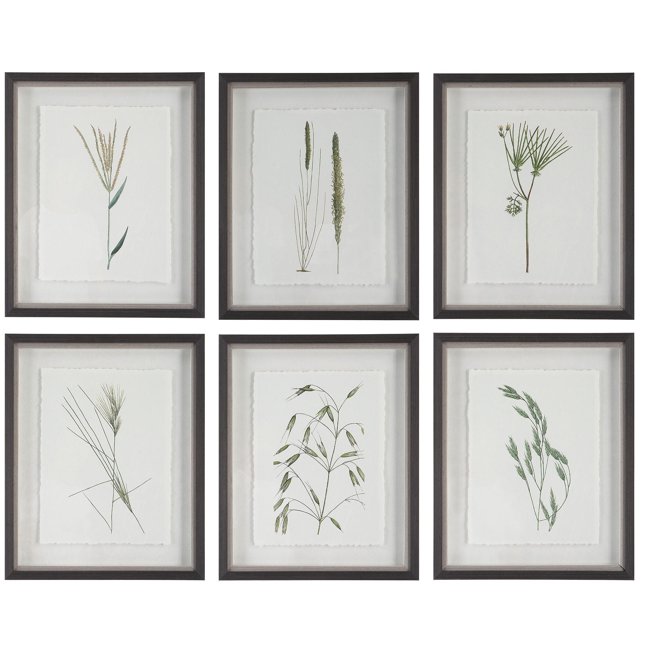 Forest - Finds Framed Prints (Set of 6)