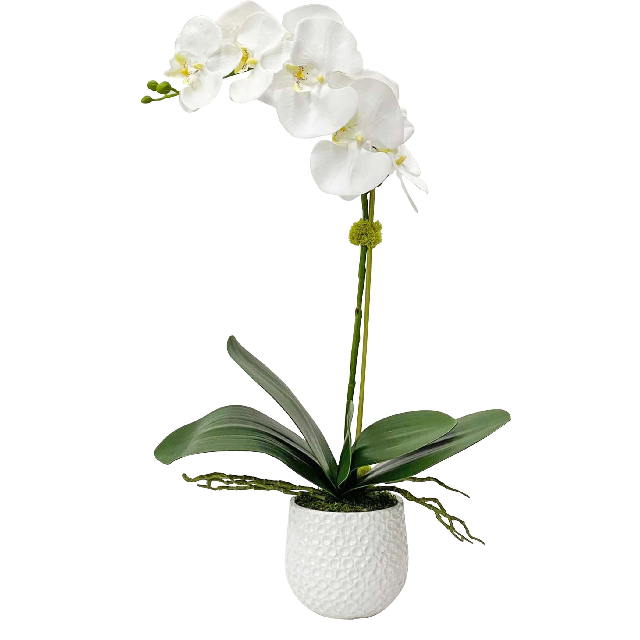 Cami - Orchid - White