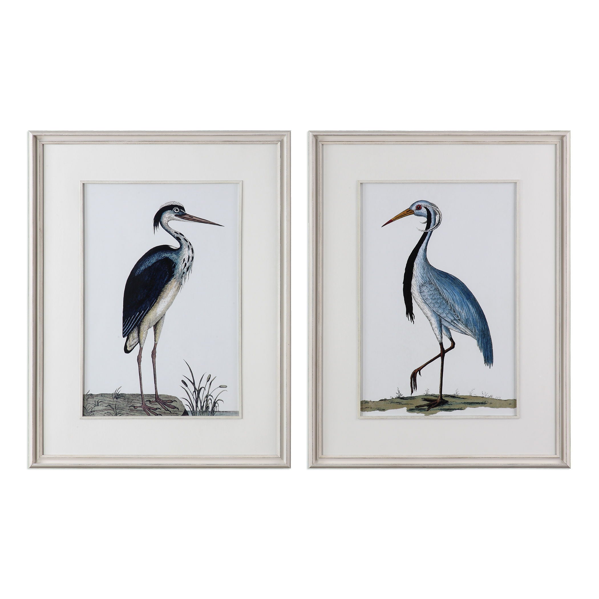 Shore Birds - Framed Prints (Set of 2) - Black