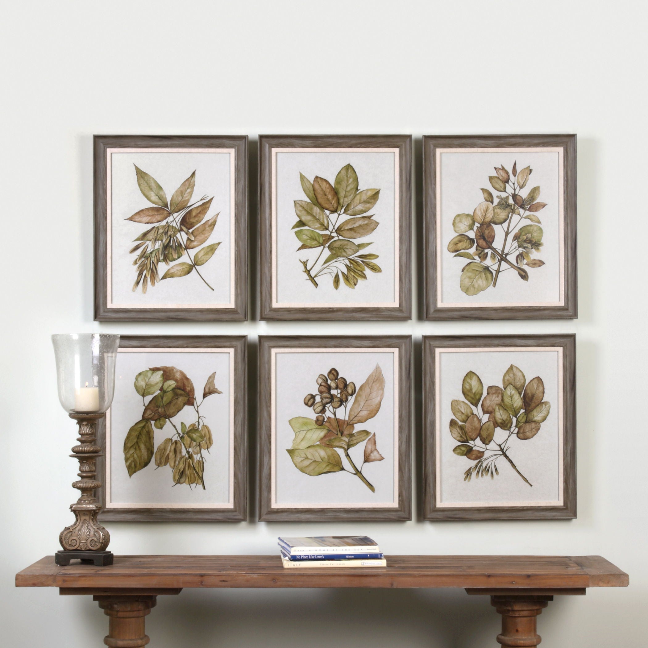 Seedlings - Framed Prints (Set of 6) - Green